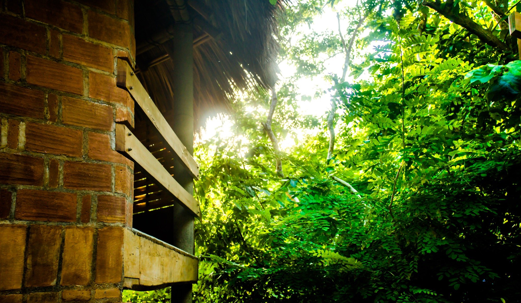 Detalles de arquitectura y naturaleza en Nuuna