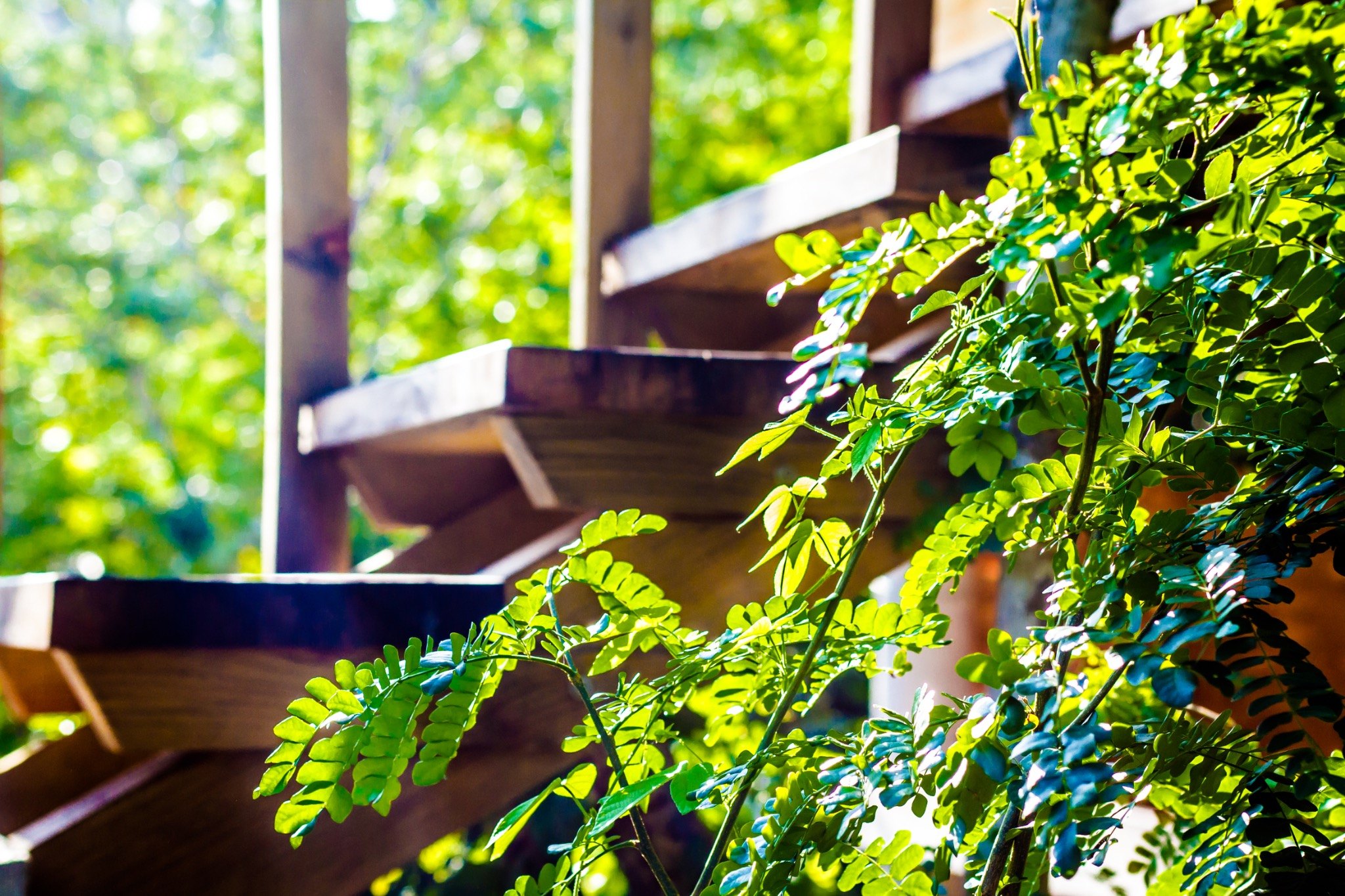 Vegetación integrada con la arquitectura de Nuuna