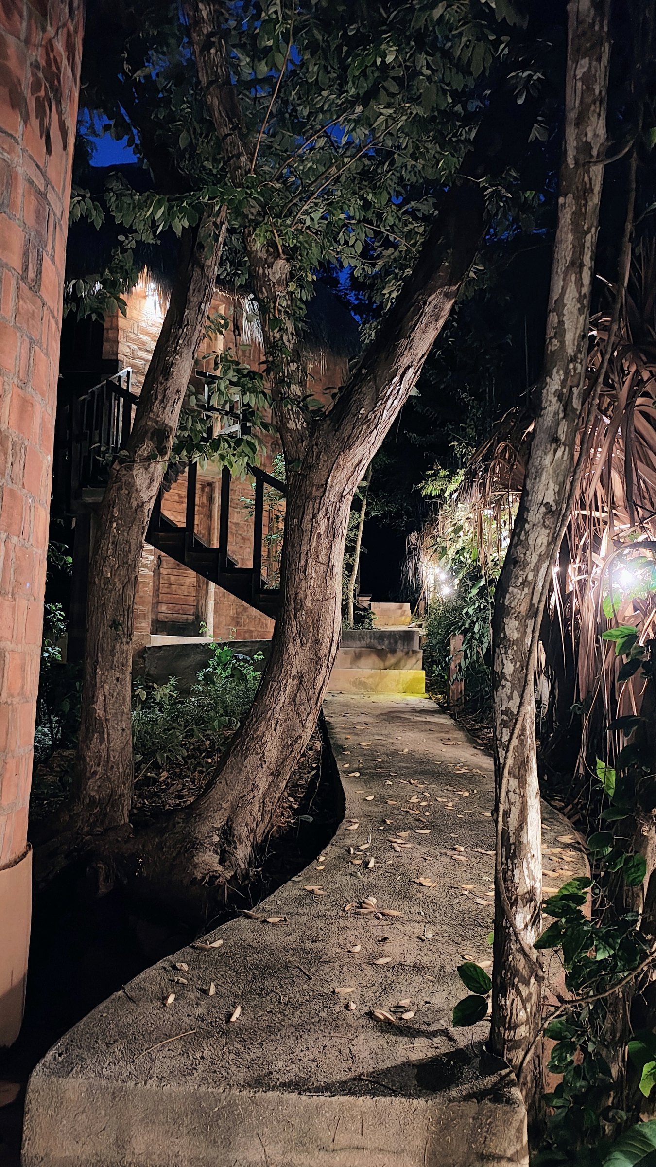 Galería Nuuna G-17